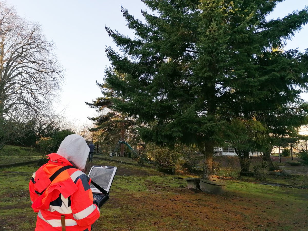 Vue sur l'école de plein air. Une personne, de dos, tient un ordinateur devant un grand sapin.