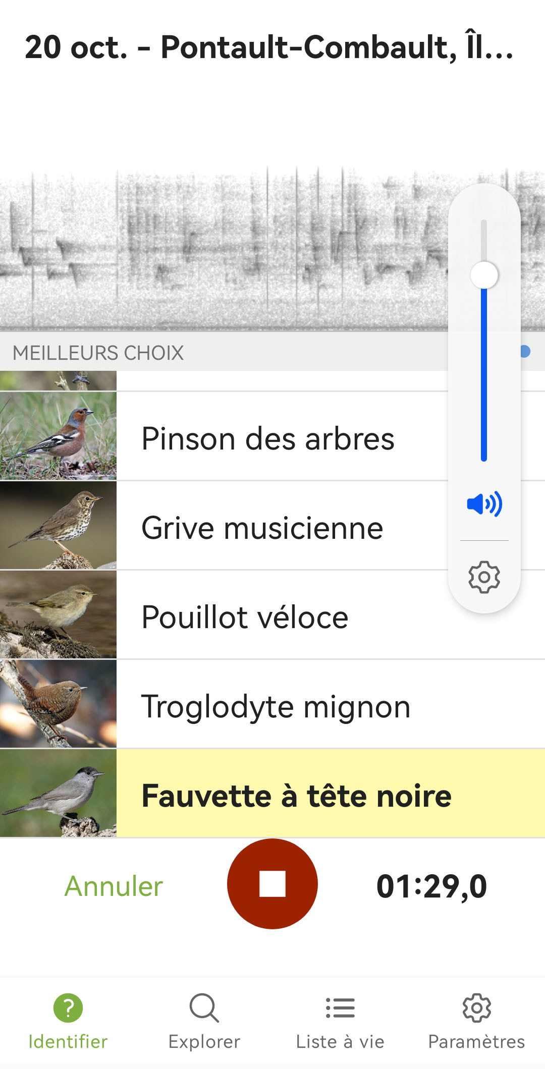 Capture d'écran. En haut le sonogramme, en bas, une liste de noms d'oiseaux accompagnés de photos.