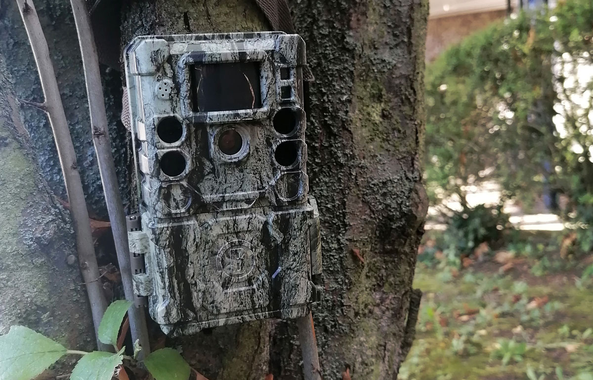 Photo du piège-photographique. Un boitier avec plusieurs objectifs fixé à un arbre avec une sangle.